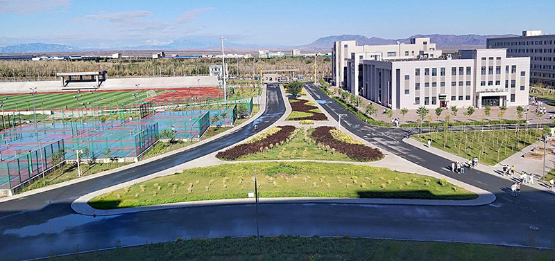 新疆农业大学科学技术学院