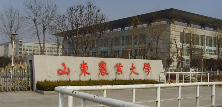 山东农业大学