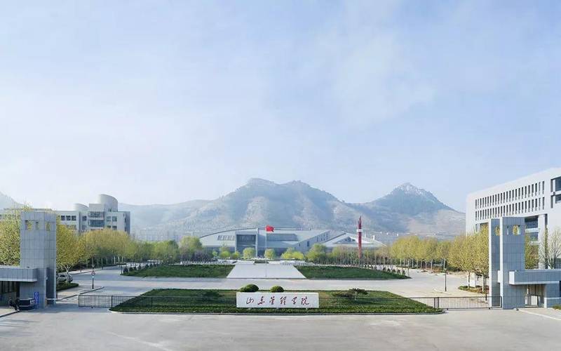 山东管理学院
