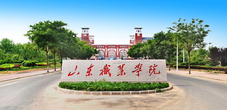 山东职业学院