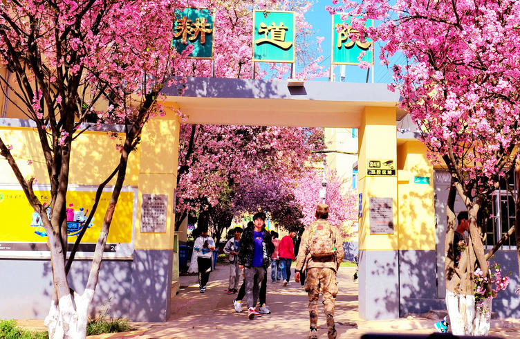 云南农业职业技术学院