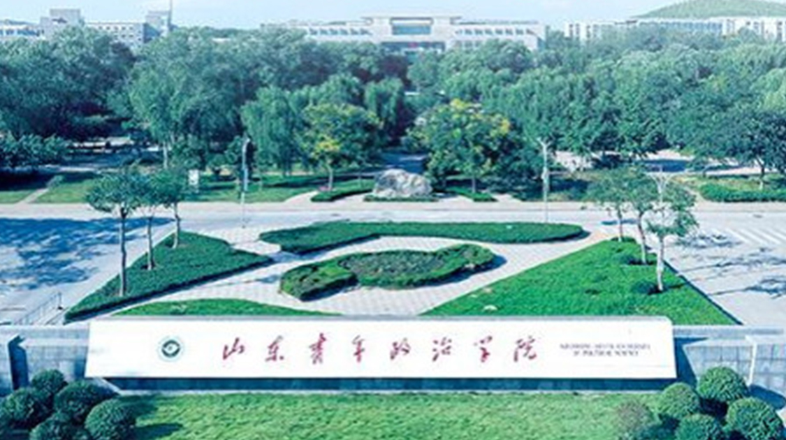 山东青年政治学院