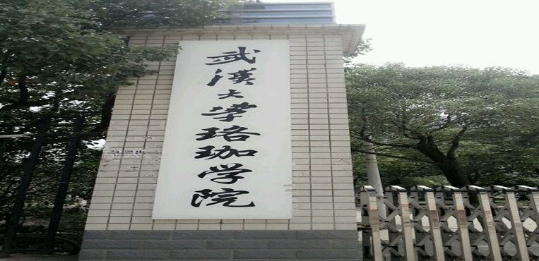 武汉晴川学院