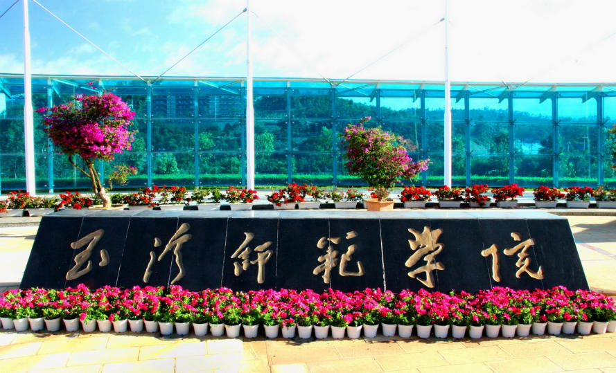 玉溪师范学院