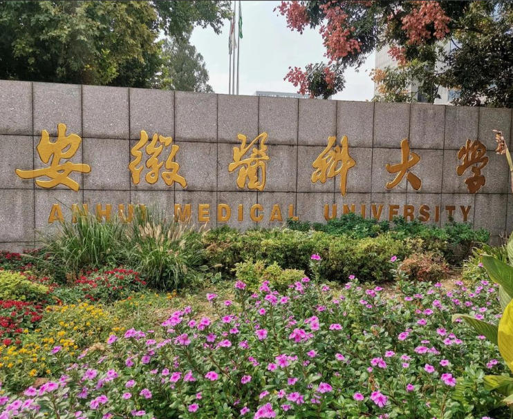 安徽医科大学