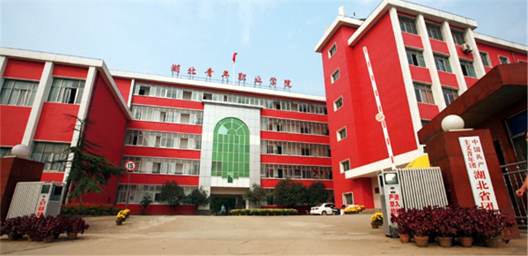 湖北青年职业学院