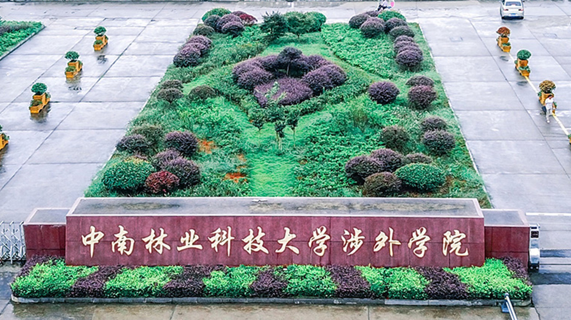 中南林业科技大学涉外学院