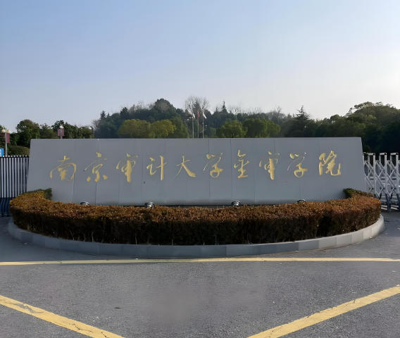南京审计大学金审学院