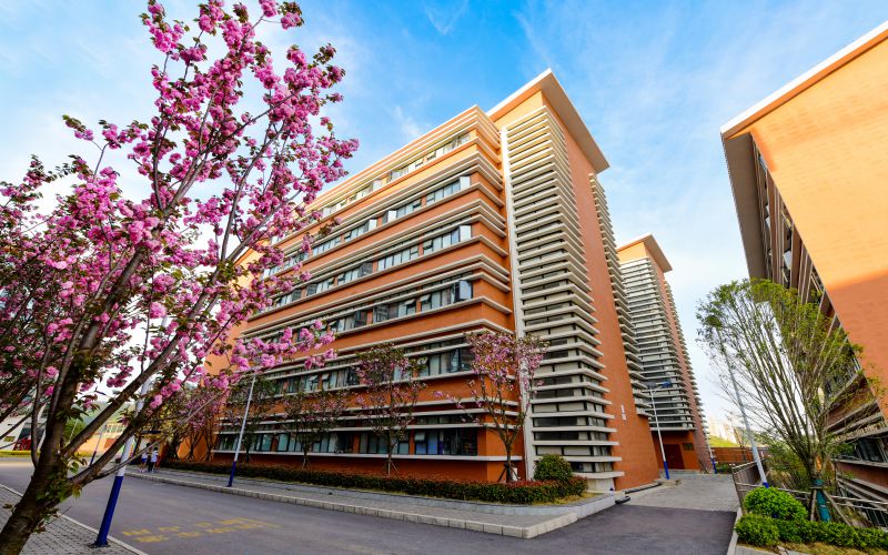 贵州传媒职业学院