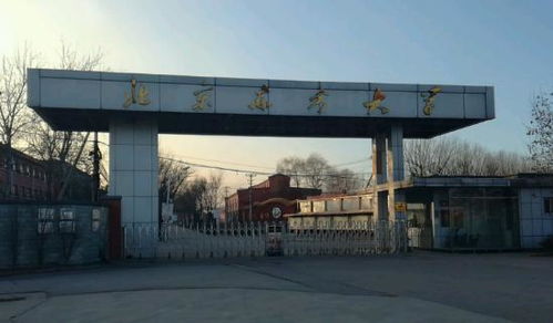 北京东方大学航空示范学校,北京东方大学航空学院