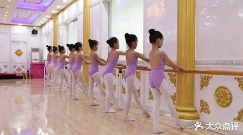 鲁艺舞蹈学校,太原鲁艺怎么样