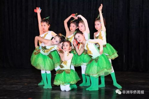 小红花舞蹈学校老师,小红花舞蹈培训