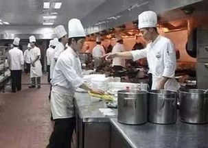 厨师学徒打荷学什么,刚开始学打荷，帮忙指教一下