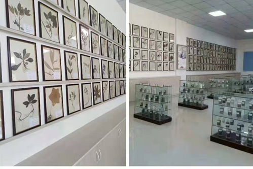 贵州贵阳高级护理护理学校,贵阳护理护理职业学校怎么样啊？教学怎么样啊？