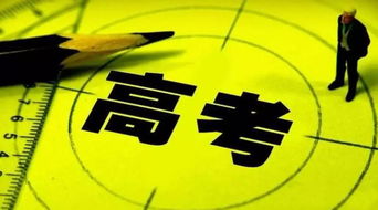 美术特长生高考加分,高考美术特长生能加分么