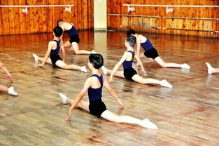 艺考集训武汉舞蹈,武汉舞蹈艺术高考集训