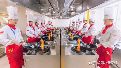 出师厨师多久学才能要,学厨师要多久才能出师？