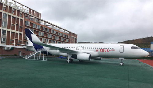 航空培训学校的优势,航空机构培训学校