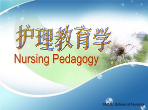 护理教育学第七章ppt,护理教育学第七章PPT