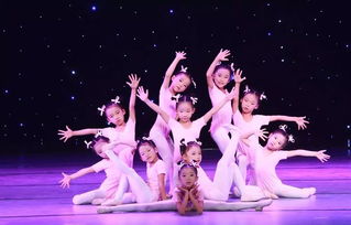 有舞蹈专业的学校,舞蹈专业有哪些