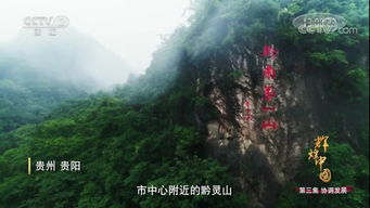 企业培训机构贵阳卫校,贵州腾阳职业培训学校官网