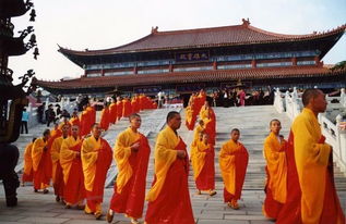 南山旅游学校贴吧,张贴南山旅游学校介绍