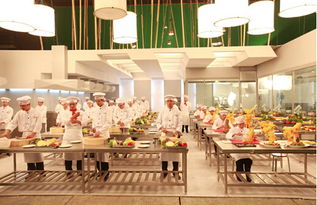 沈阳八一厨师学校,沈阳有什么厨师学校吗`6个月学期的`