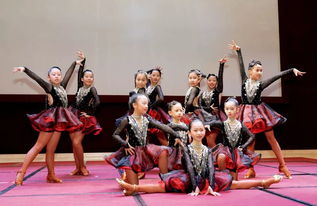 舞蹈学校简介内容,舞蹈学校简介范文