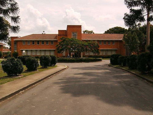 昆士兰大学的旅游专业,请问昆士兰大学的旅游管理专业好吗？毕业了能在澳洲工作吗？