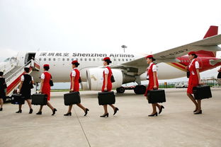 航空专业学校招生的条件,航空学校招生要求有哪些