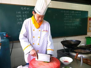 我学烹饪,我学会了做饭的作文400字