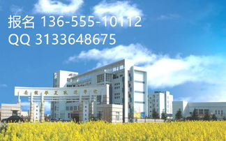 安徽华夏旅游学校校服,学校的校服啥样。