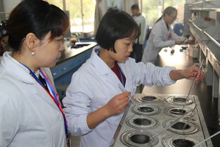 海宁卫校教职工比赛,2010年学校分数线