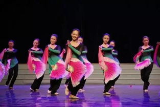 学舞蹈专业,选舞蹈专业好吗？（从高一开始学）不要街舞，我16岁