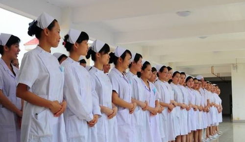 专科的护理学校,专科护理学校排名及分数线