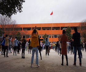 贵州幼师有哪些学校,贵州省幼师学校排行