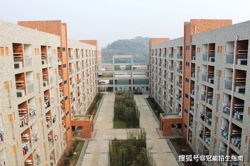 成都公立幼师学校有哪些,成都市公立幼师学校有哪些