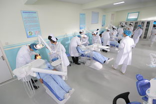 初中生上卫校可以学那些专业,卫校初中毕业可以上嘛