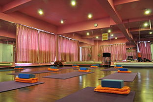 长沙悦舞国际舞蹈培训学校,沈阳市铁西区有朝鲜舞教室吗?