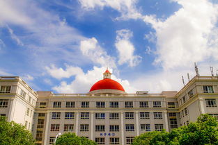 湖北专科幼师学校排名,湖北省最好的幼师学校