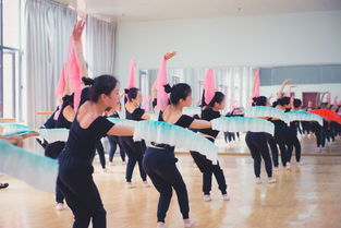 重庆哪个学校有航空专业,重庆师范大学有航空学院或者科系吗