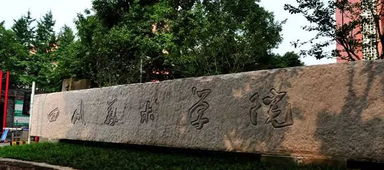 杭州美术高考,考试内容多样，具有挑战性