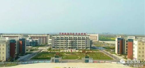 甘肃省卫校新校区,甘肃卫生职业学院新校区与老校区相距多远