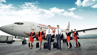 旅游航空专业,潍坊工程职业学院旅游管理专业有航空专业