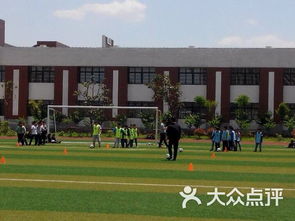 航空港区中心学校,龙中金源怎么样？好不好？值不值得买？