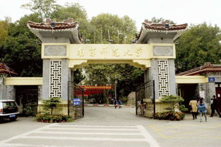 幼师专业的大学,学前教育专业各大学排名