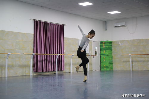 高考艺考舞蹈生,艺考舞蹈专业都考什么 高考舞蹈考什么