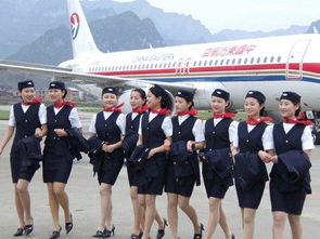 哈尔滨航空学校,哈尔滨航空学校：培养飞行专业人才的重要基地