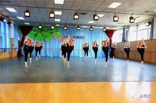 舞蹈中专有哪些学校,有什么舞蹈学校是中专毕业可以上的？？？