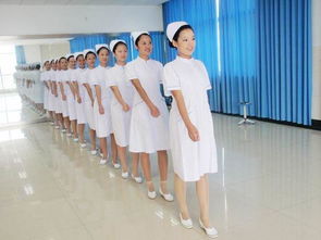 济南卫校护理招生简章,山东济南卫校招生要求2023